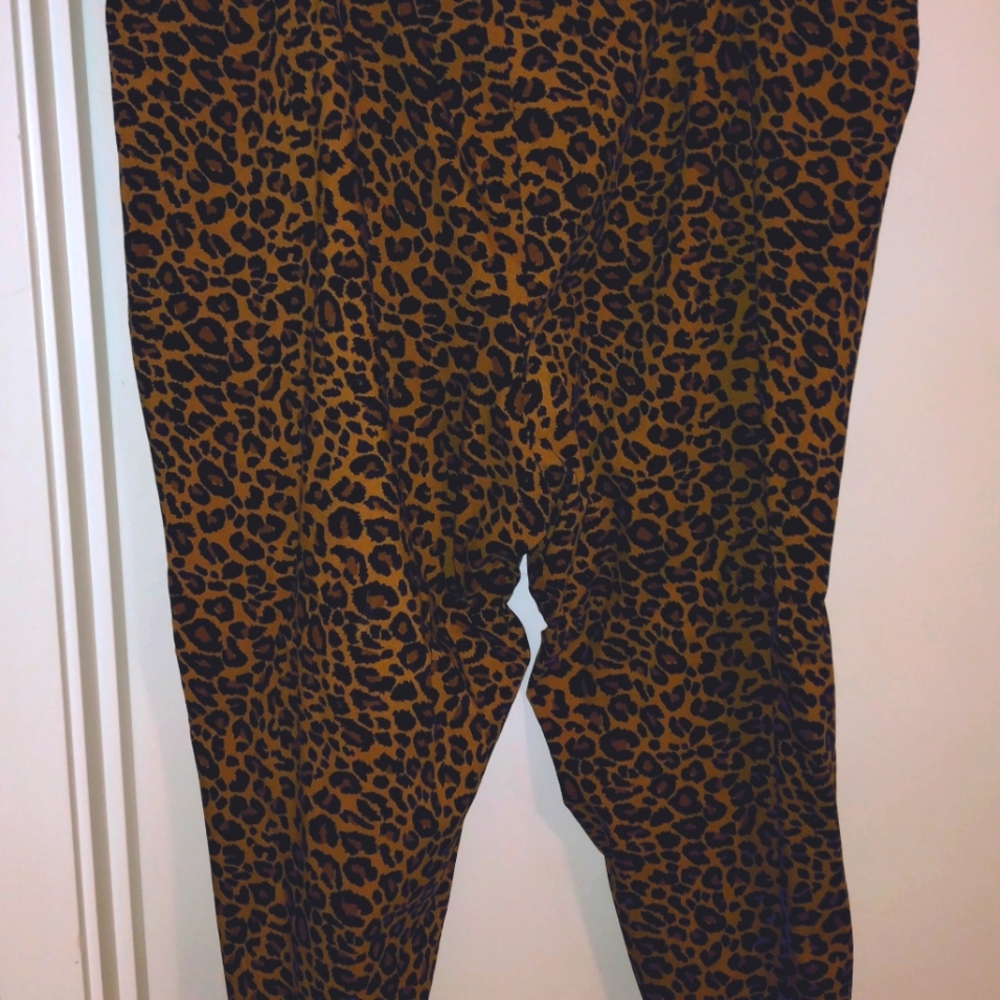 Terra & Sky Stretch Trouser - 4x - New